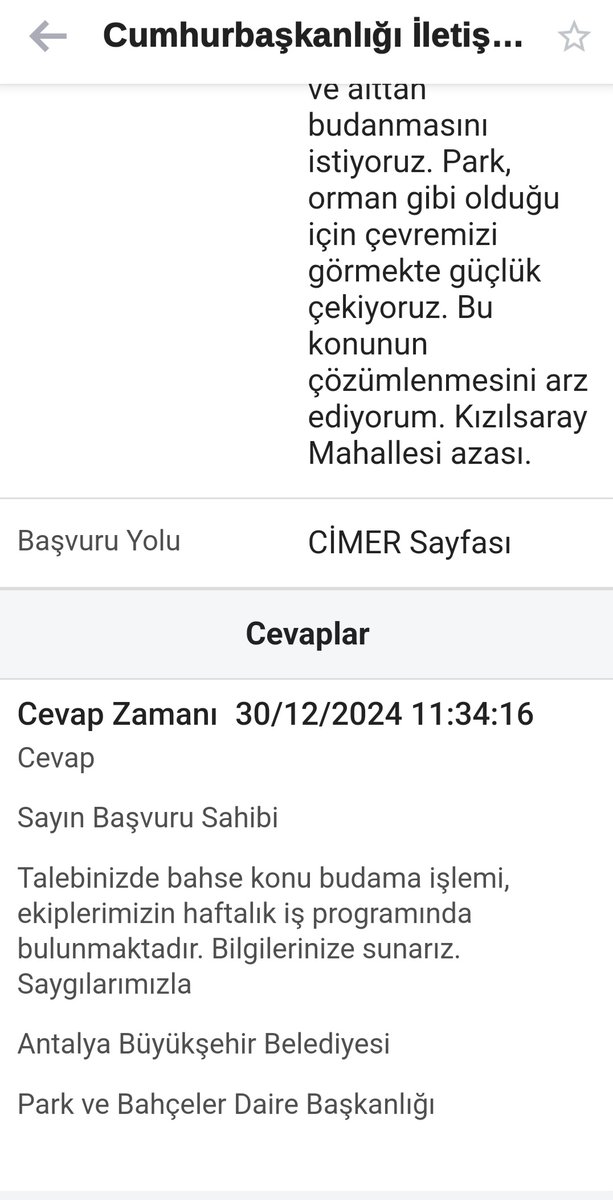 ben_yasam's tweet photo. @ANTALYABB park bahçelere 30.12.2024 tarihinde, ağaçların alttan ve üstten budanmasını istemiştim. Hala budanmadı. Ve oradaki bir kadının isteği üzerine mor ağaçları budamadılar.Bu yıl da o kadın istiyor diye budamayacaklarmış. Budanmayan mor ağaçlar bu hale geldi. @eczozgurozel https://t.co/Jh2Vf5Sh4i