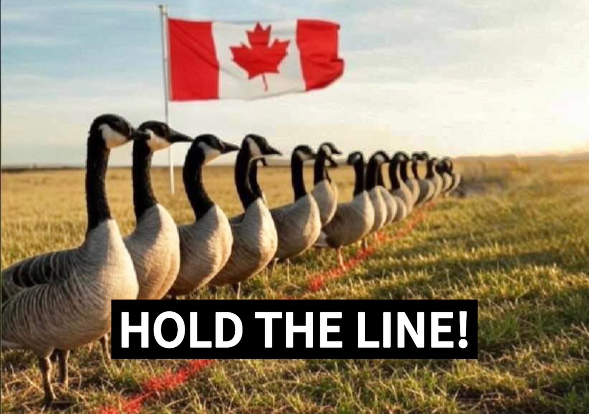 DoctorSungTWRP's tweet image. Dear fellow Canadian Tup Tups,
Please get out and vote today. Remember that Trump, Musk, and all those goons want PP to win. Do not let the rhetoric, whining, and fear mongering win.
Learn how to best use your vote in your riding:
smartvoting.ca