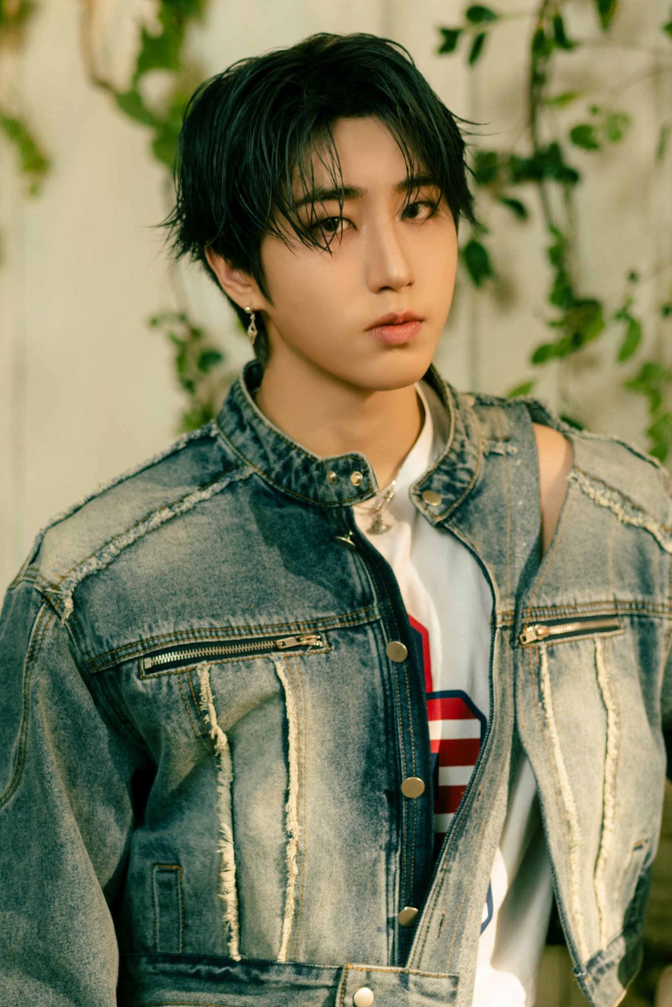 Stray Kids photocard album Yellow Wood Official Photo card