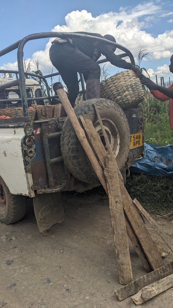 TichaMandevu's tweet image. Gari ya kwanza Ile inasepa. Ya pili Mali ni shindili😂. KILIMO kwetu ni kama mpira kwa aucho ni kugusa TU. Tunajitafuta 💪