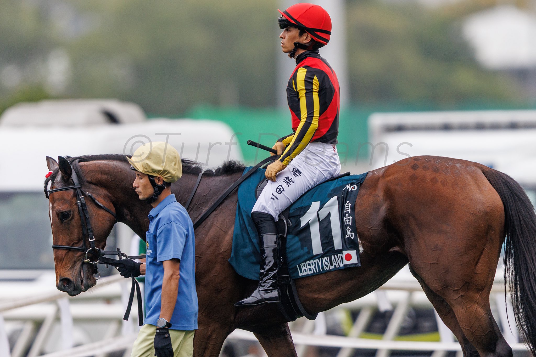 リバティアイランド　セット リバティアイランド - 競馬グッズの通販サイト ノーザンホース