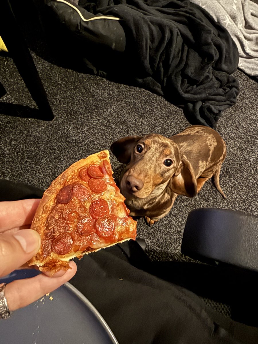 BradShafi's tweet photo. Woof woof https://t.co/IZBjaXmrP5