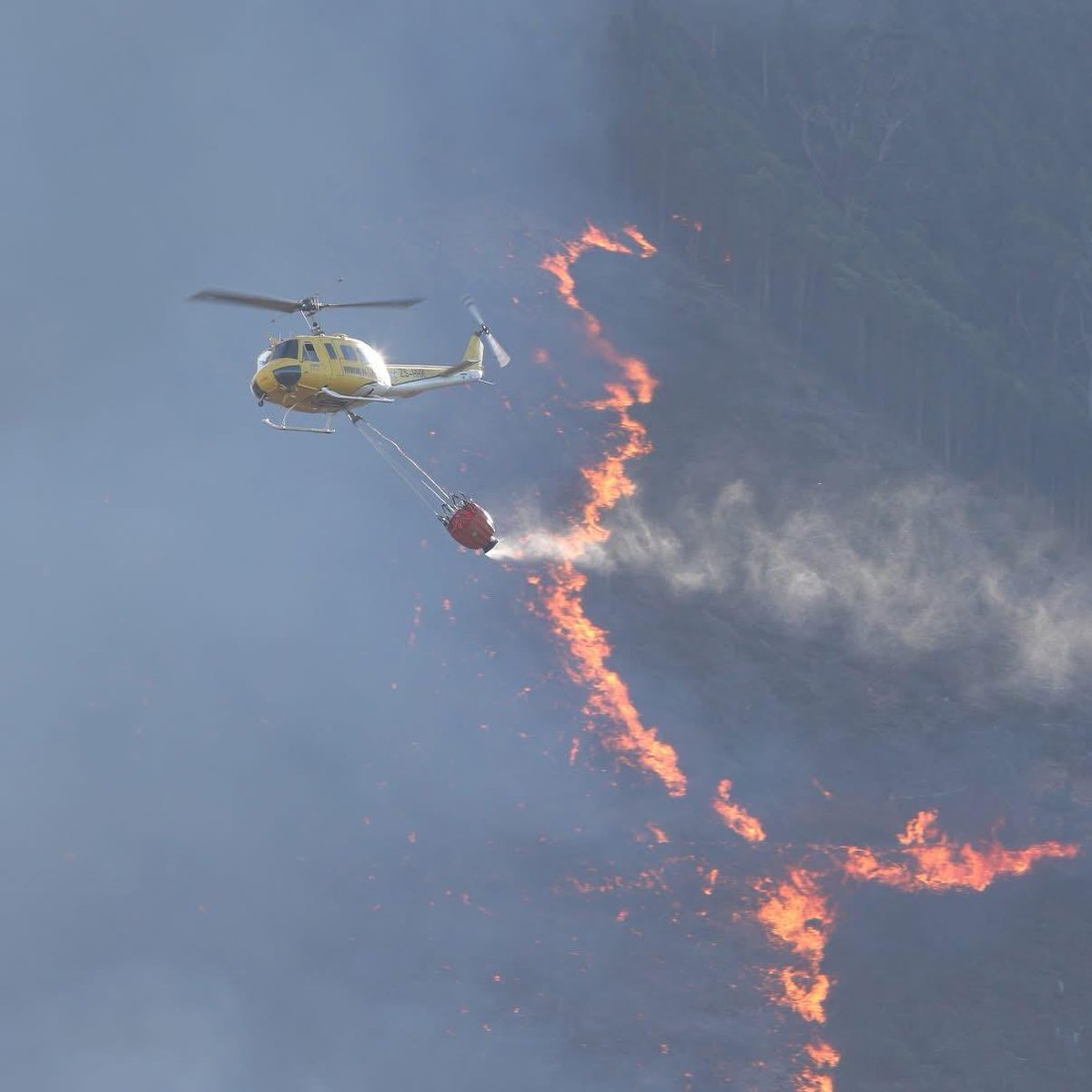 Tokai Fire Update – Day 3, 16:00
Working on Fire-Kishugu JV teams continues fire suppression efforts in Tokai alongside <a href="/CityofCT/">City of Cape Town</a> and <a href="/SANParks/">SANParks</a>. 
Resources include: 
-1 Command and Control Fixed-Wing Aircraft 
-4 Huey Helicopters
-2 Aerial Support Vehicles
-24 brave firefighters.
