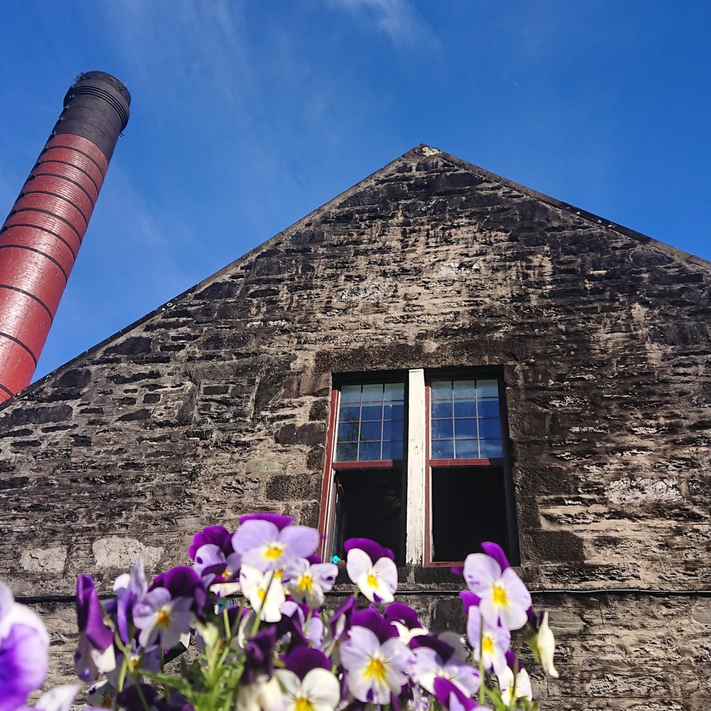 With summer just around the corner, now's the perfect time to plan your visit to Dewar's Aberfeldy Distillery!

#Aberfeldy #DewarsAberfeldy #Distillery #Whisky #WhiskyDistillery
