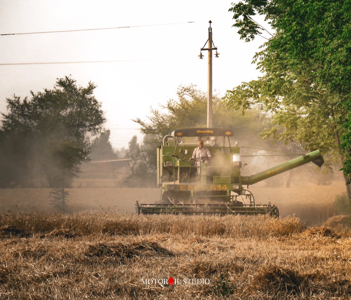 Of harvest and sickle-time.. #Punjab #Harvest