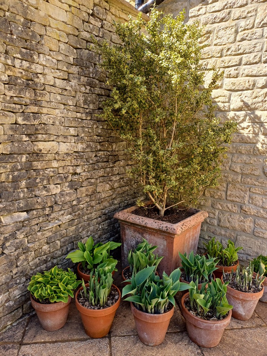 Hostage Central. No unauthorised access for slugs.⛔️