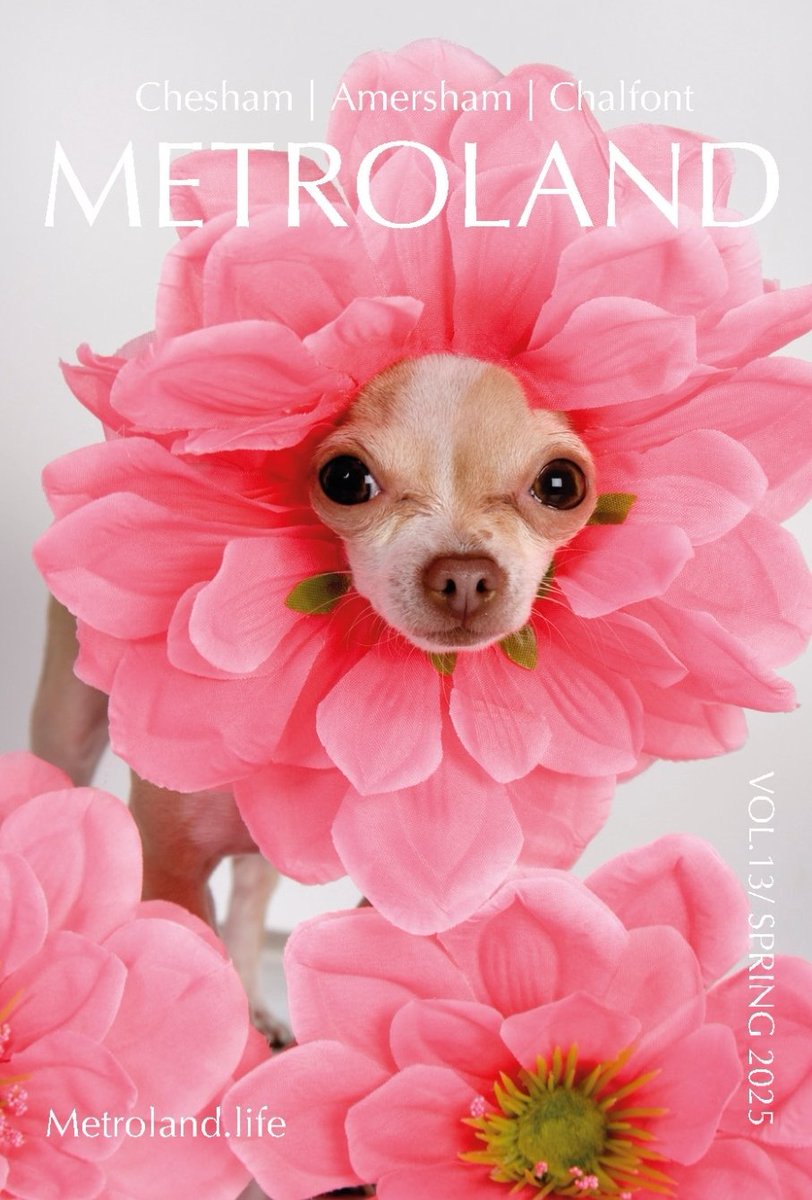 Our Spring/Summer issue of the year is here — and it’s just a click away!

This season’s issue is bigger, bolder, and more inspiring than ever.

metroland.life/read-metroland…

#MetrolandLife  
#Chesham #Amersham #Chalfonts #Chilterns 
#shoplocalcheshamamershamchalfont
