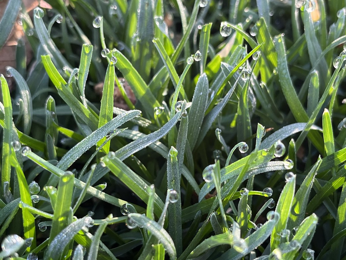 TurPhDude tweet media