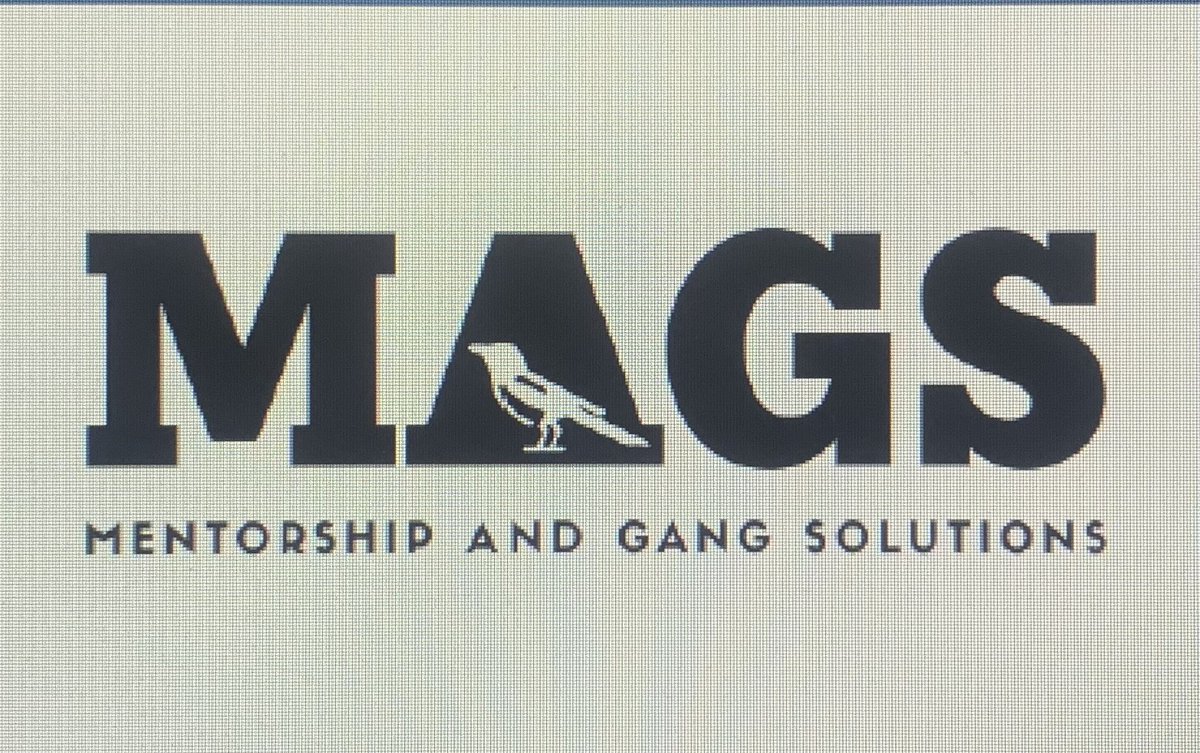 Thank you to our friends from the <a href="/edmontonpolice/">Edmonton Police</a> service for their presentation last week to our network. The #MAGS initiative engages mentors with lived experience to develop meaningful connections for #youth who are experiencing significant challenges.  Innovative work.