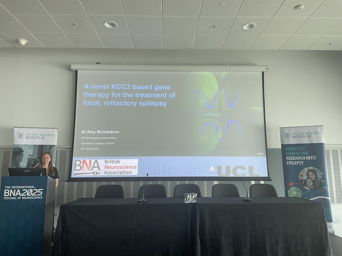 ResearchNet ERI (@researchneteri) on Twitter photo Emerging Leader Fellow <a href="/AmyRichUCL/">Amy Richardson</a> kicking off the <a href="/EpilepsyInst/">Epilepsy Research Institute</a> Symposium at #BNA2025 with a talk on the development of a gene therapy to change neuronal properties, aiming to prevent seizures occurring and spreading Emerging Leader Fellow <a href="/AmyRichUCL/">Amy Richardson</a> kicking off the <a href="/EpilepsyInst/">Epilepsy Research Institute</a> Symposium at #BNA2025 with a talk on the development of a gene therapy to change neuronal properties, aiming to prevent seizures occurring and spreading