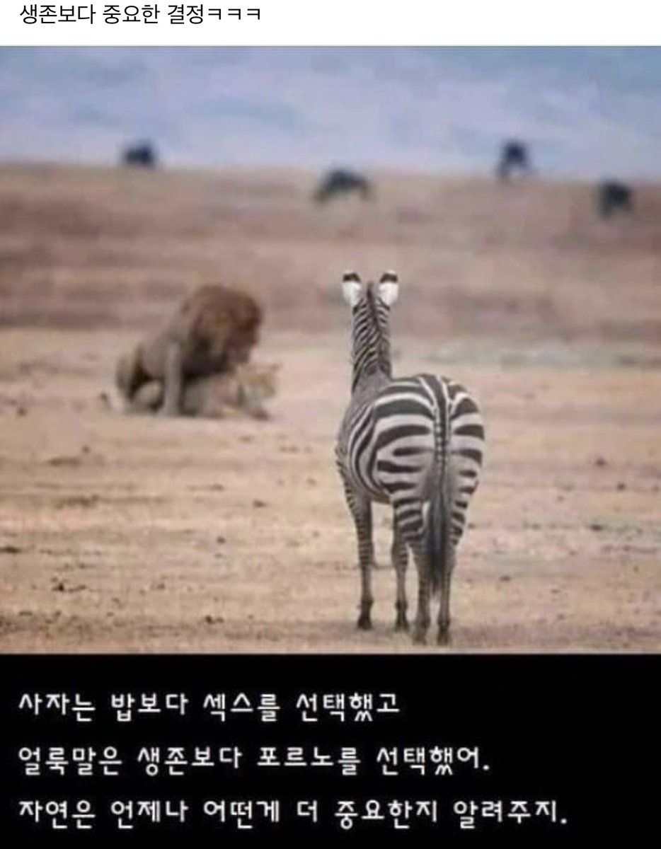 자연의 섭리...