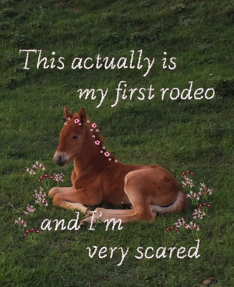 whotfisjovana's tweet image. ㅤ