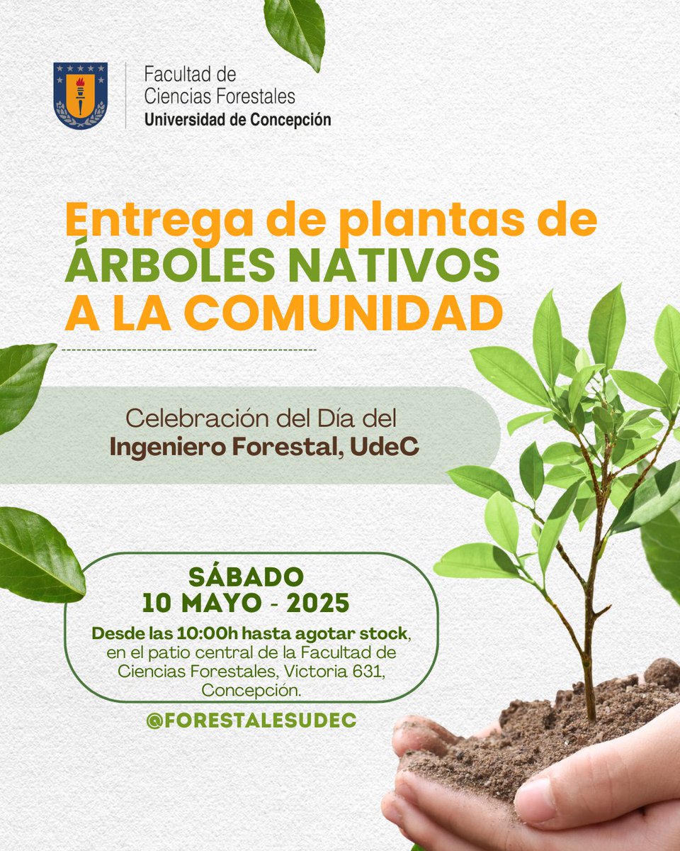 Este 10 de mayo realizaremos una entrega de plantas de ÁRBOLES NATIVOS A LA COMUNIDAD 🌳
🌿 Será a partir de las 10:00h, en el patio central de la Facultad de Ciencias Forestales, UDEC💙
📢Comparte este post en tus redes🤝💬
(hasta agotar stock, es un arbolito por persona)