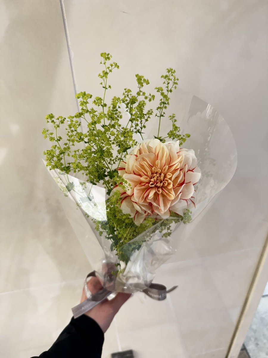 Ten month anniv.
これで何回目かな？仕事上がりの彼女がTELしながら美しいお花選んでくれた〜💐
もう今回で最後か…

「輝き」「献身的な愛」
アルケミラロブスターの花言葉ꫂ ၴႅၴすてき

来月からは、2人でお花選びにいける喜びに気づいてほっこりと眠りにつく〜(  ꜆ᐢ.  ̫.ᐢ)꜆