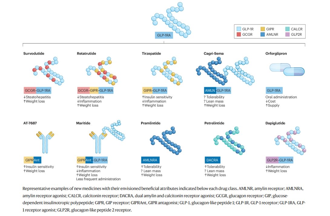 Nature Reviews Drug Discovery (@natrevdrugdisc) on Twitter photo GLP-1-based therapies for diabetes, obesity and beyond tinyurl.com/ph3fn4eh
This new review by <a href="/DanielJDrucker/">Daniel J Drucker</a> profiles GLP-1-based medicines, discussing optimization of pharmacokinetics and tolerability, engagement of new therapeutically useful pathways and safety aspects GLP-1-based therapies for diabetes, obesity and beyond tinyurl.com/ph3fn4eh
This new review by <a href="/DanielJDrucker/">Daniel J Drucker</a> profiles GLP-1-based medicines, discussing optimization of pharmacokinetics and tolerability, engagement of new therapeutically useful pathways and safety aspects
