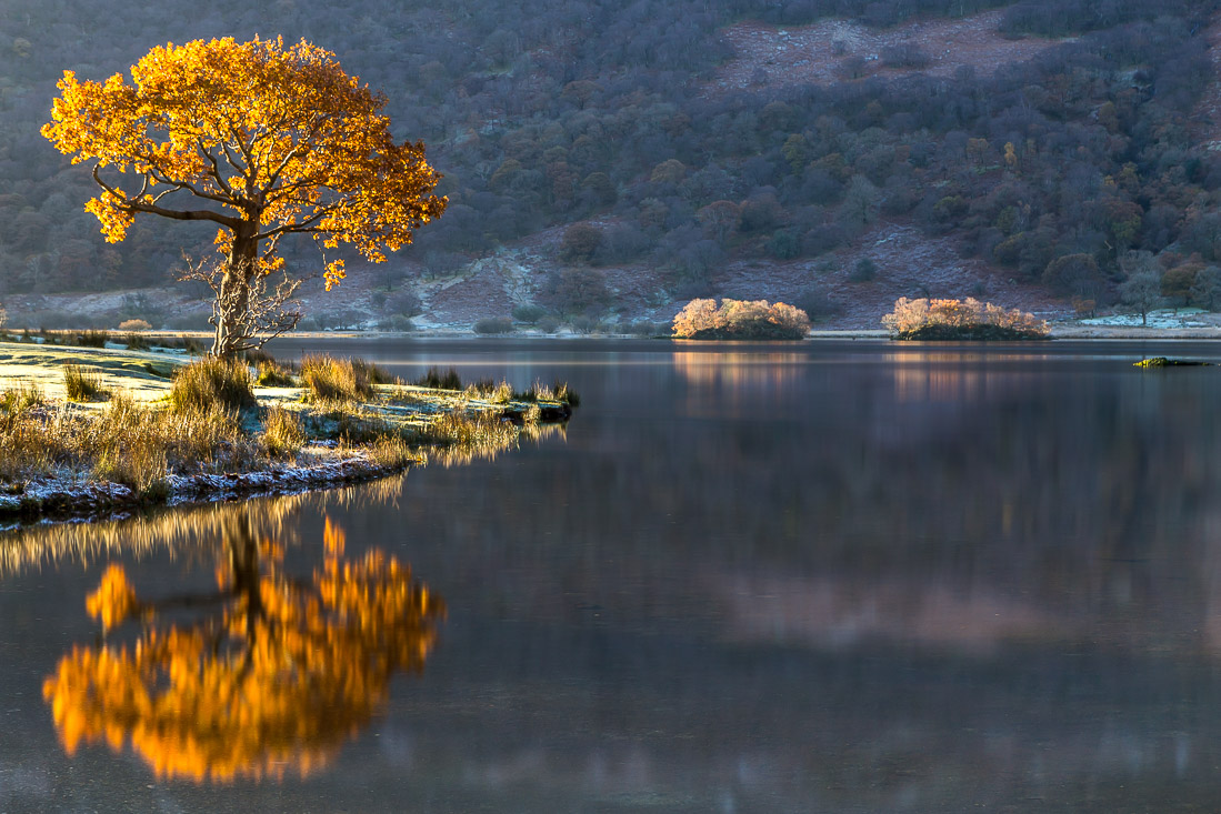 Crummock Water #LakeDistrict - Day 4 of 7 posts showcasing its beauty which will be lost forever if United Utilities carries out its plan to reduce the water level by 4.6 feet. Find out more here and sign the petition: change.org/p/stop-united-…………Please share to raise awareness