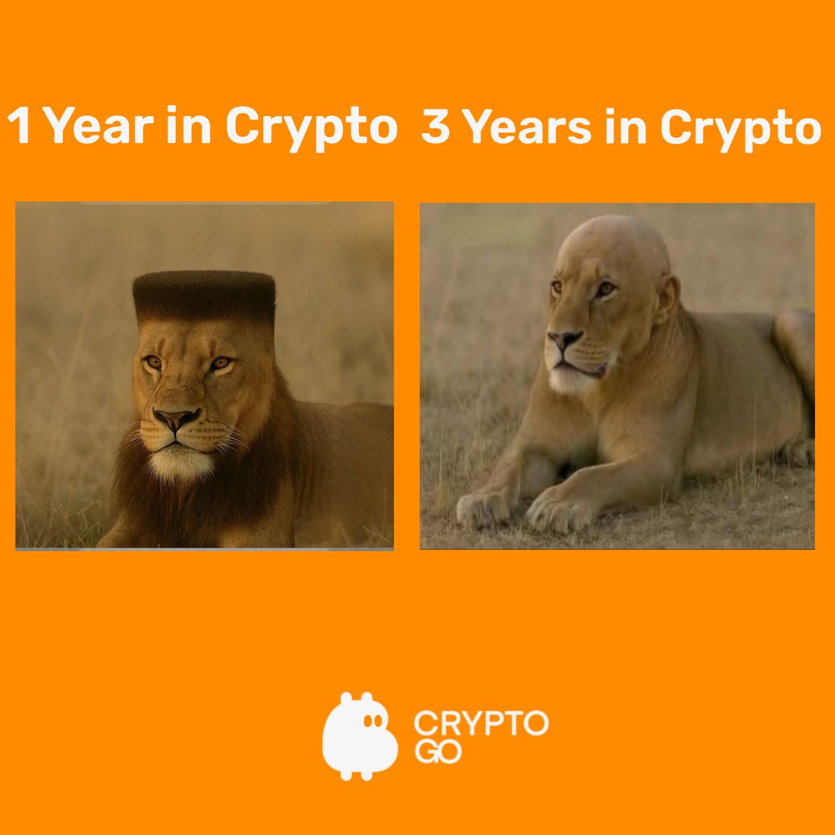 Degens, CMT a memecoin you've been hodling.