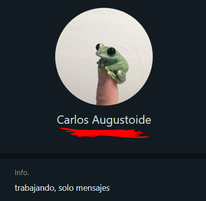 davidsinho tweet media