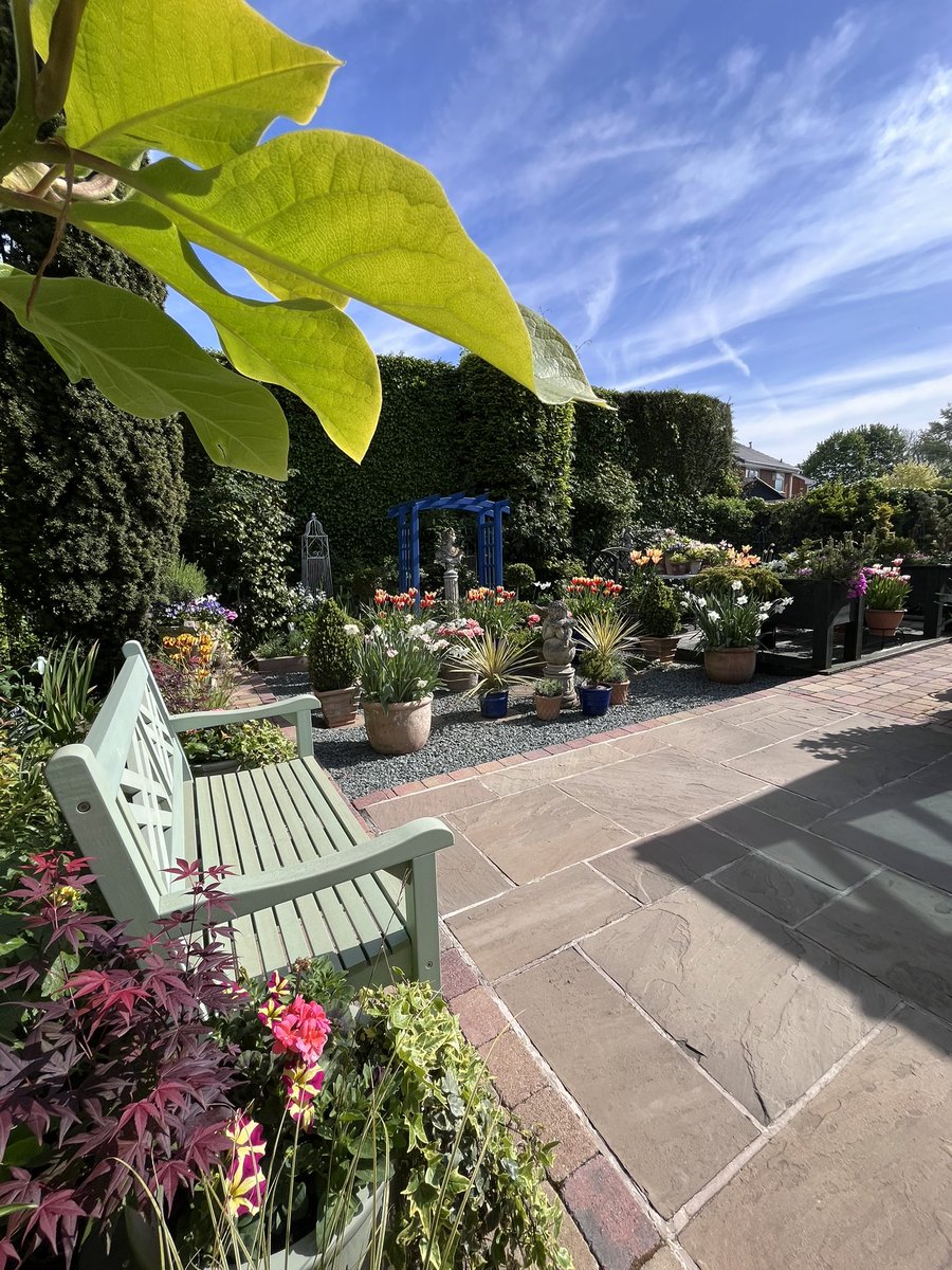 Morning garden inspection. It’s been a good Spring so far and my bulbs, especially the tulips,  have excelled themselves this year. #gardeninglife #gardening