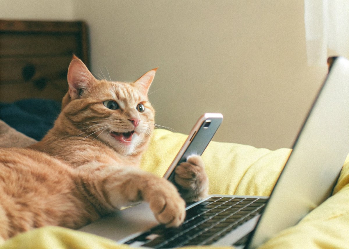 Всем привет, ах тыж етить ну и апрель выдался, понятно, что ни кто не скучал, но я вернулся :))) Накрылся мой комп-старичок🤪Причём буквально одновременно с телефоном, пришлось спалить на новые девайсы все заначенные деньги, что ж, начинаем новую жизнь🤪