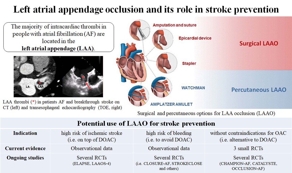 #STROKE: This topical review by <a href="/DavidSeiffge/">David Seiffge</a> et al. discusses the available approaches to achieve left atrial appendage occlusion and the available evidence for LAAO in patients with AFib.🫀 #AHAJournals <a href="/AlexanderPBenz/">Alexander Benz</a> <a href="/docsaw/">Jacqueline Saw</a> <a href="/inselgruppe/">Insel Gruppe</a>

ahajournals.org/doi/full/10.11…