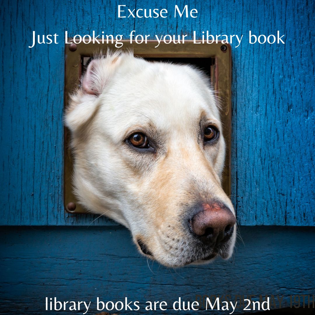 Nimitz Library (@nimitzlibrary) on Twitter photo Hey <a href="/NimitzVikings/">Nimitz High School</a> Library Books are due May 2nd.. Seniors make sure to get those books in before graduation. Hey <a href="/NimitzVikings/">Nimitz High School</a> Library Books are due May 2nd.. Seniors make sure to get those books in before graduation.