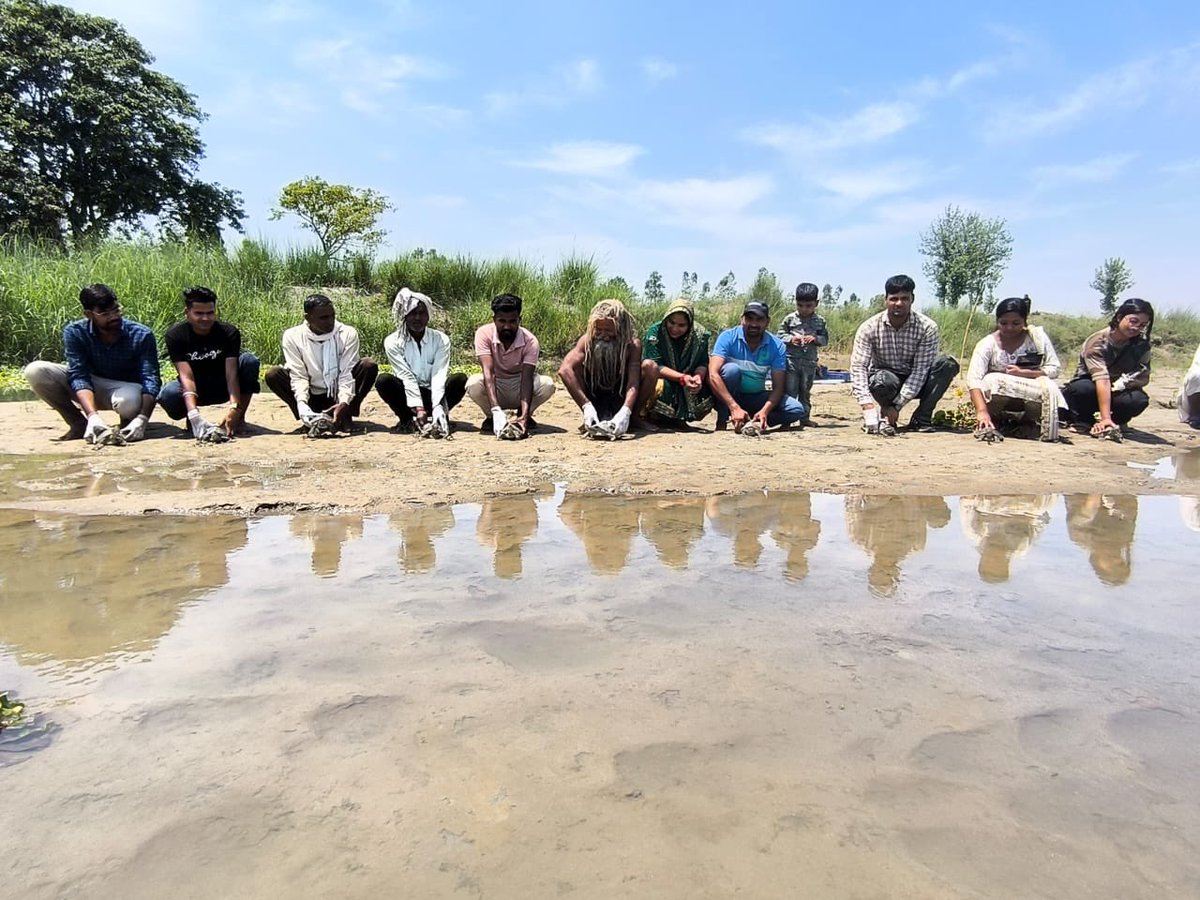 Environment, Forest and Climate Change Department tweet media