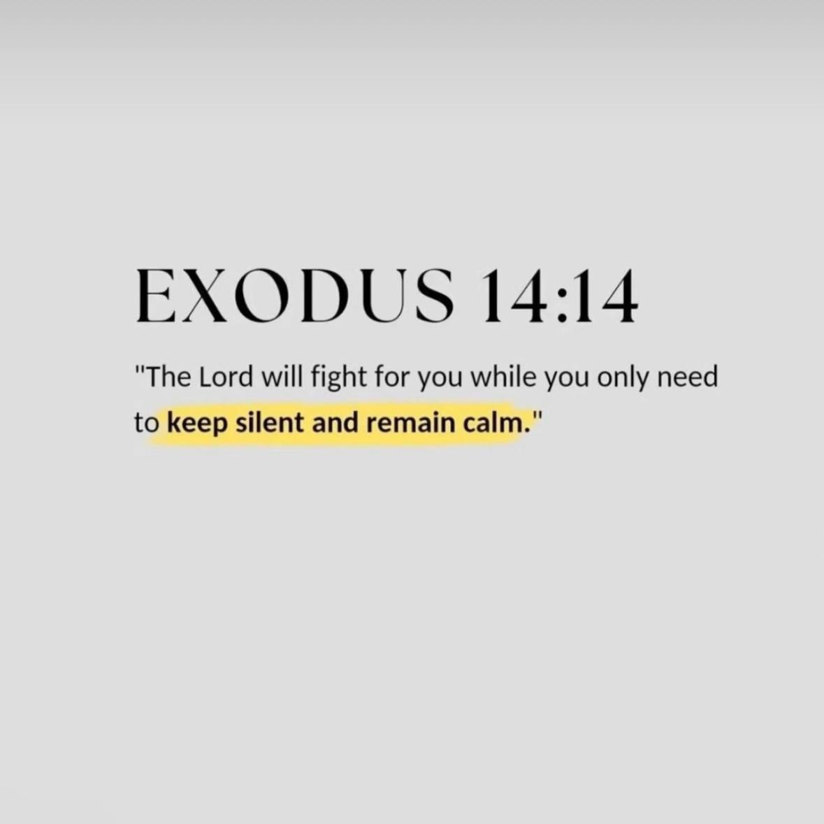 Bible 365 (@bible365_) on Twitter photo 