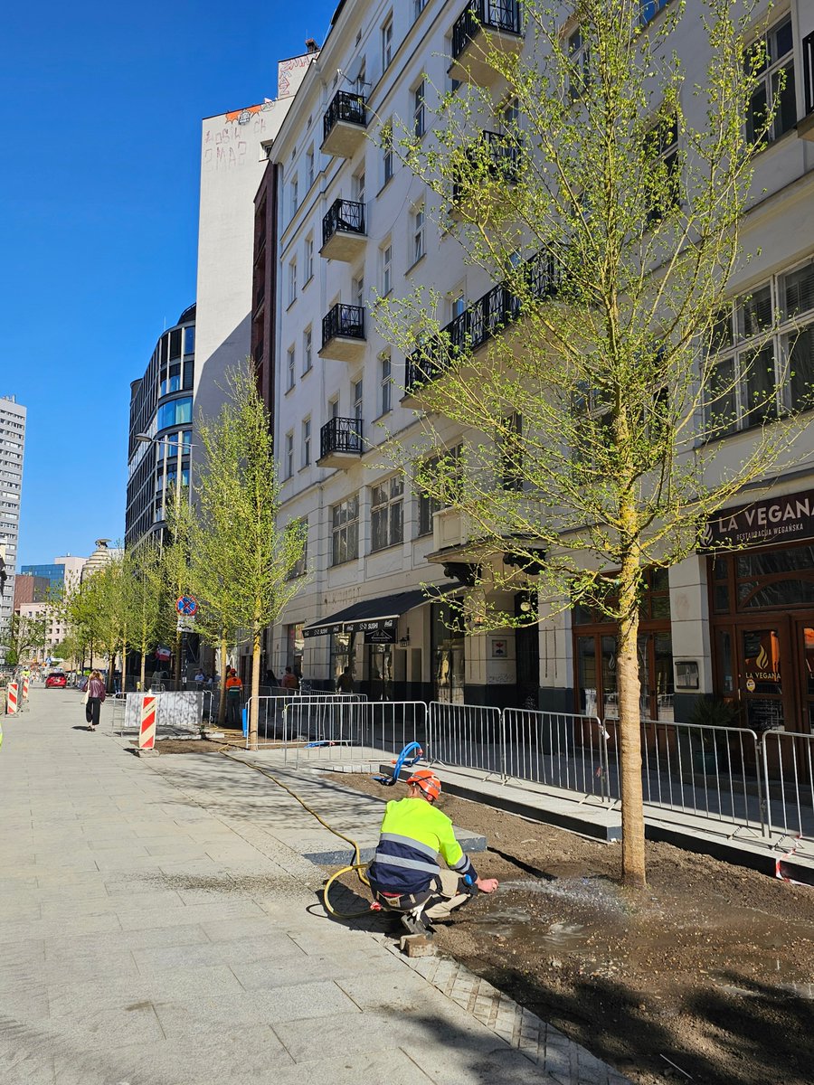 🌳 W miniony weekend posadziliśmy pierwsze drzewa na ulicy Zgoda. Mają po 9 metrów wysokości i swoim rozmiarem rzucają wyzwanie klonom z placu Pięciu Rogów. Łącznie w całym kwartale Złota-Zgoda będzie blisko 170 drzew. 

ℹ️ ZlotaZgoda.waw.pl, czyli #NoweCentrumWarszawy