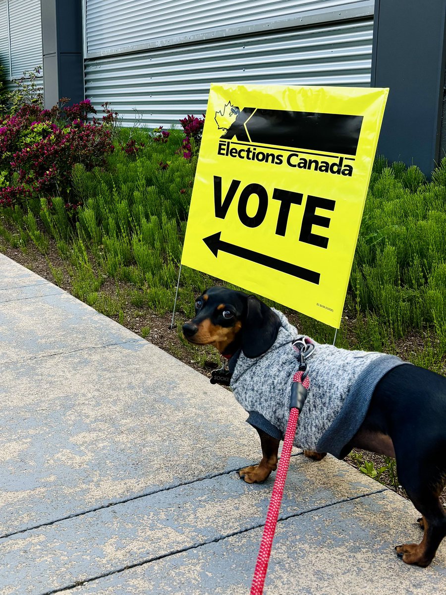 Have you voted, Canada? As-tu voté? #elxn2025
