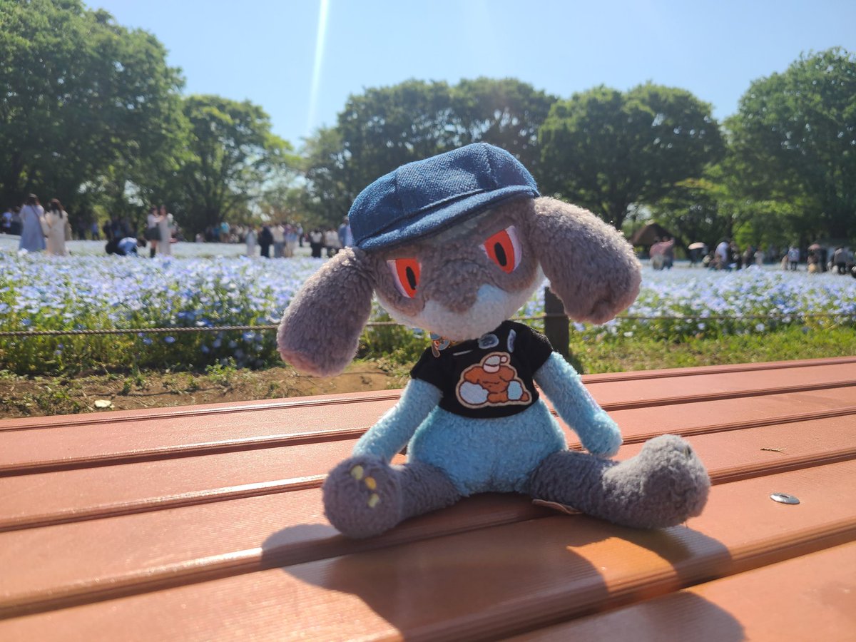 りおる色のお花を見に行ったよ