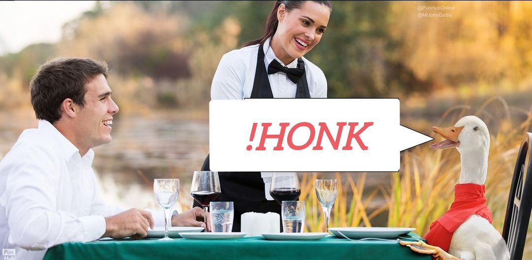 Top of the morning goose!
New week 
New Honk!
Let's get it.

#XRP #XRPCommunity #XRPHolders