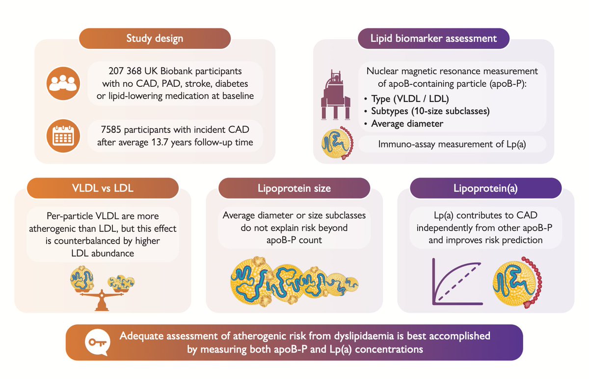 EricTopol's tweet photo. Best lab assessment for coronary artery risk consists of ApoB particles and LP(a) https://t.co/pe1sQrp5ox https://t.co/HEZLb1qZnF