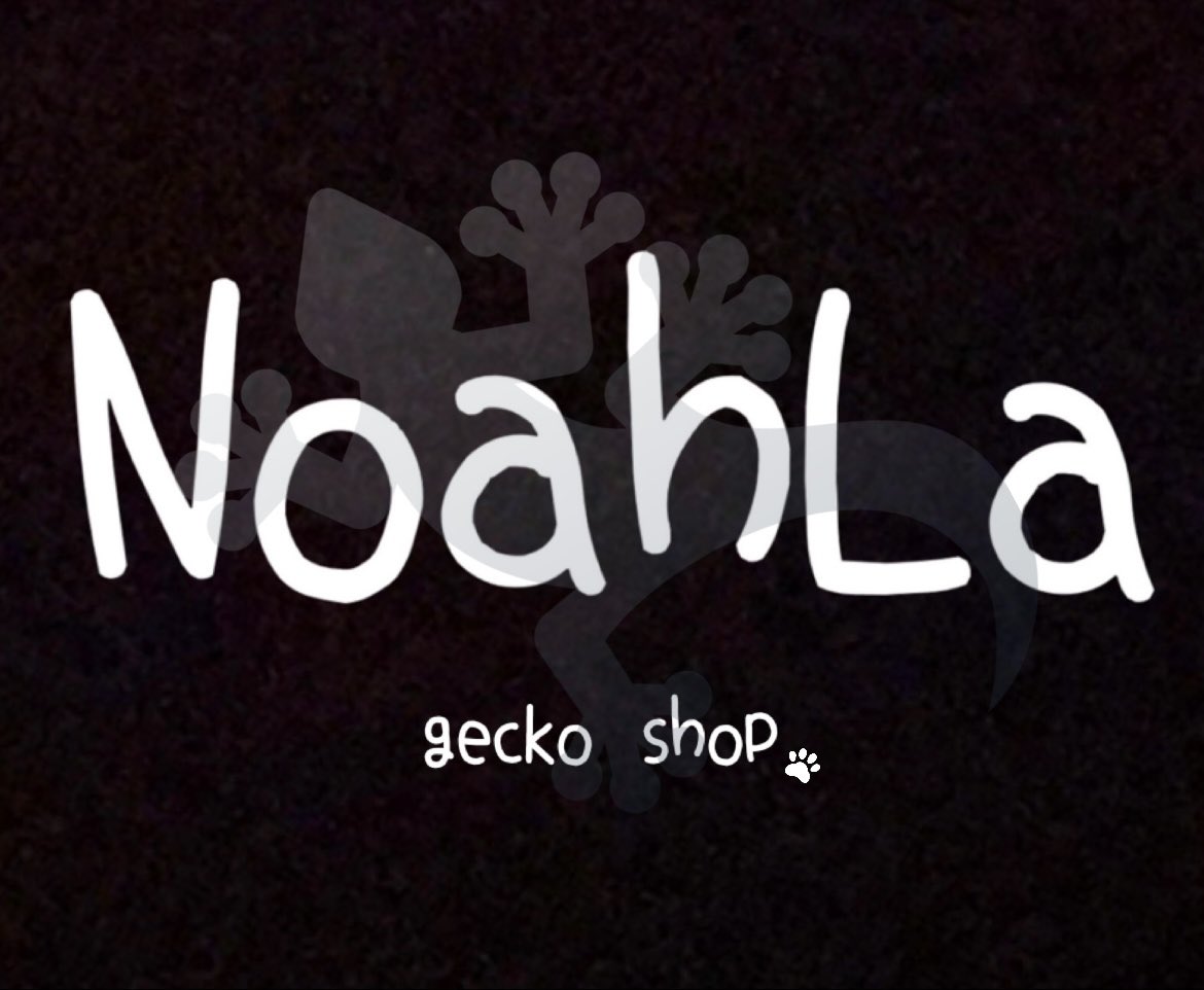NoahLa429's tweet photo. 2025.4.29   14:00～18:30
NoahLa  OPENします❣️

愛情込めて育てた自家cbクレス達と一緒に皆様のお越しを心よりお待ちしております✨️✨️

カード決済手続きが完了してない為お支払い方法は現金のみの対応になります💦

ご迷惑おかけして申し訳ございません🙇‍♀️

 #クレス  #クレステッドゲッコー https://t.co/8ZtczaQueP