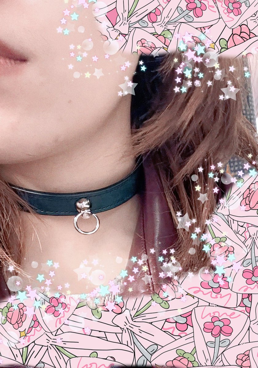 Cora近況分享
。可樂是Cola，Cora是Cora
。Cora很適合戴項圈
。Cora的項圈超好看！
。出門搭車都捨不得拿下來 
。項圈上壓印Cora的名字 這是Cora的
。主人親手繫上Cora的項圈 這是主人的