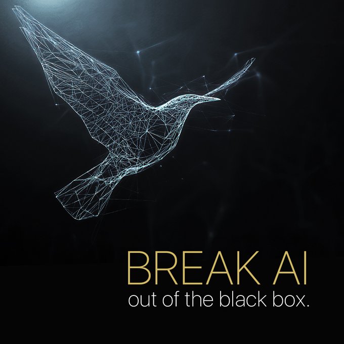 Bitseek tweet media