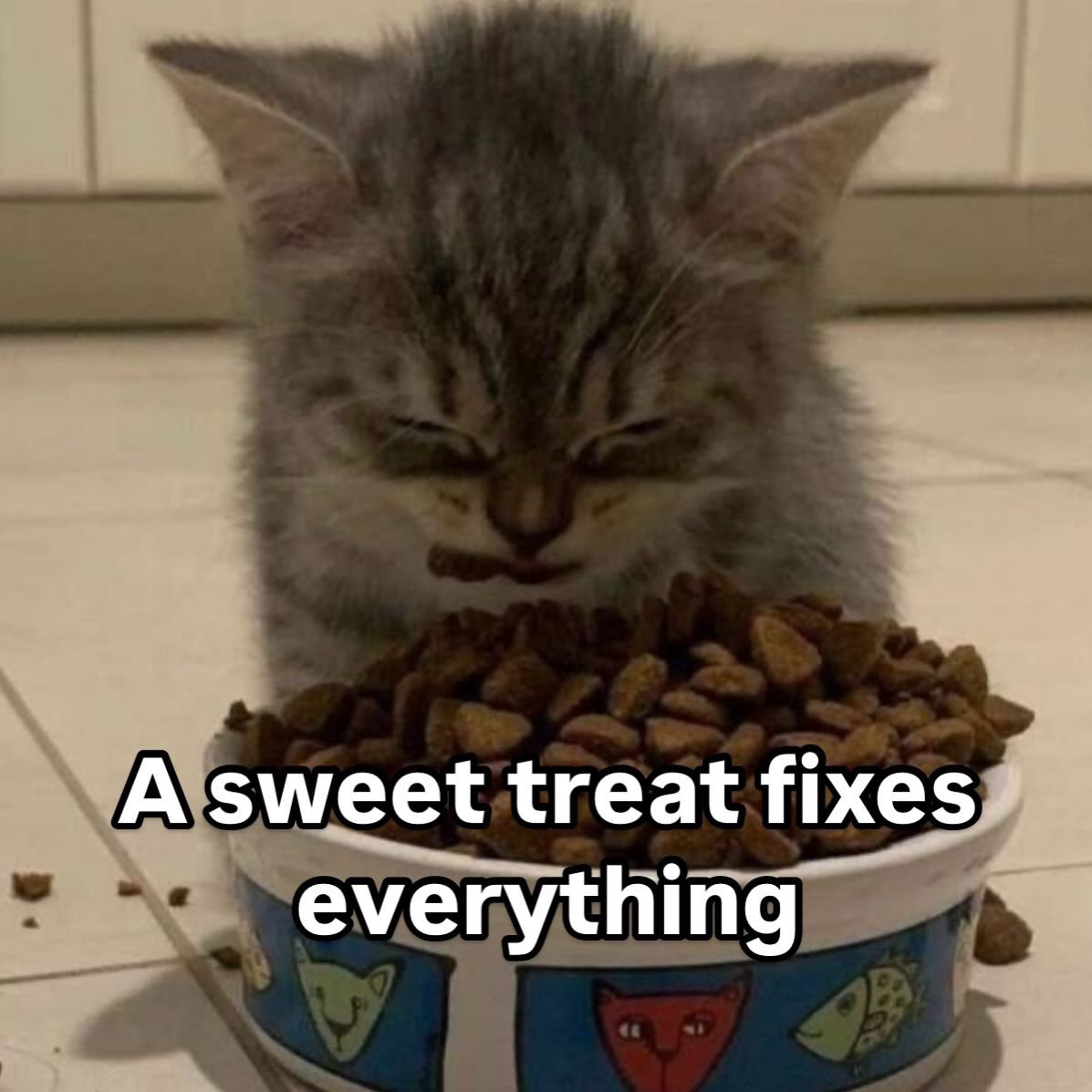 LiterallyMeCats (@literallymecats) on Twitter photo 