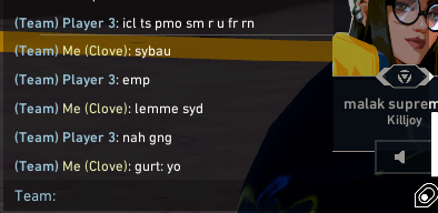 most sane valorant players