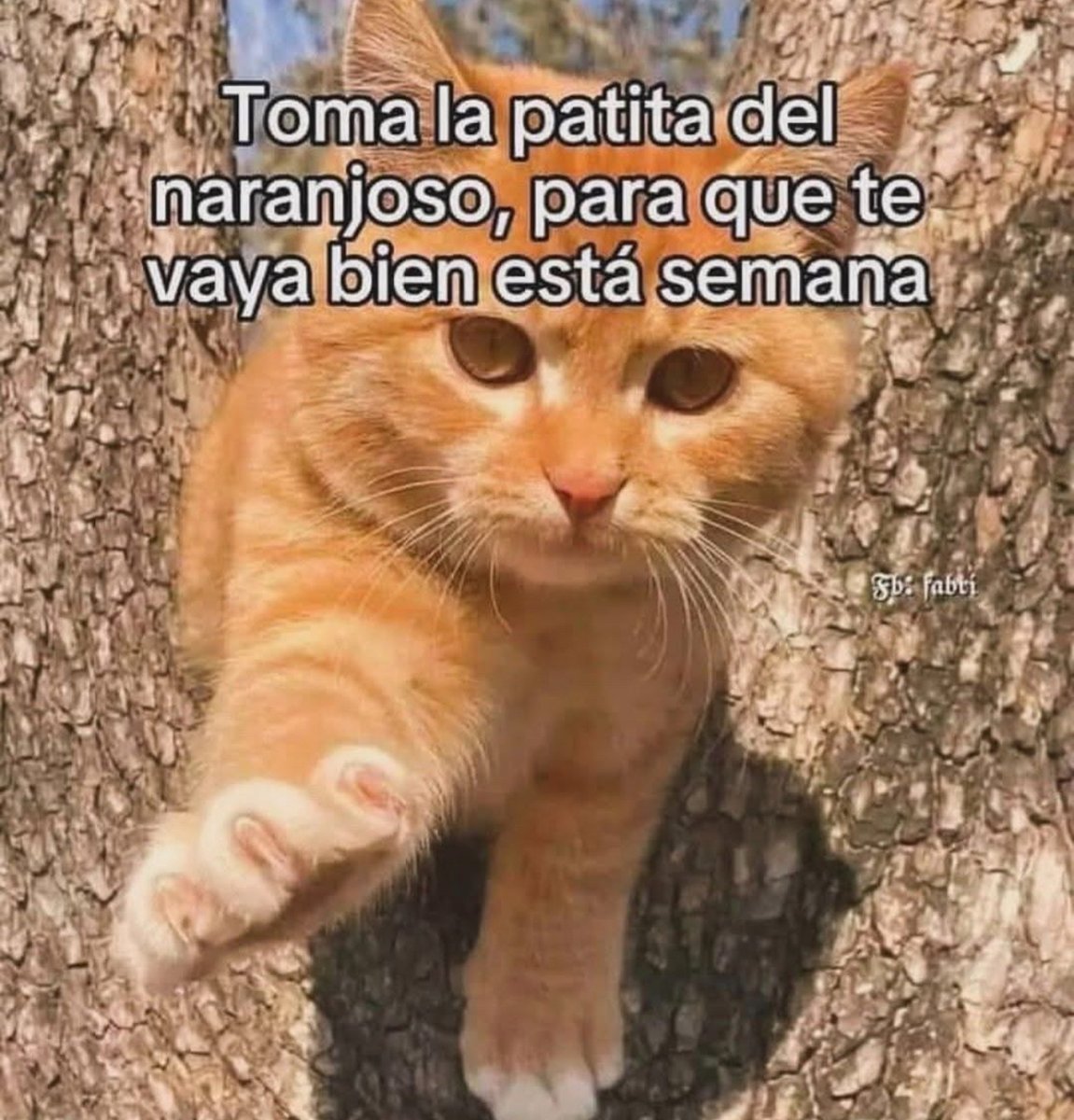 Guarromantico_'s tweet photo. Tómala! https://t.co/tHK88A9r6W