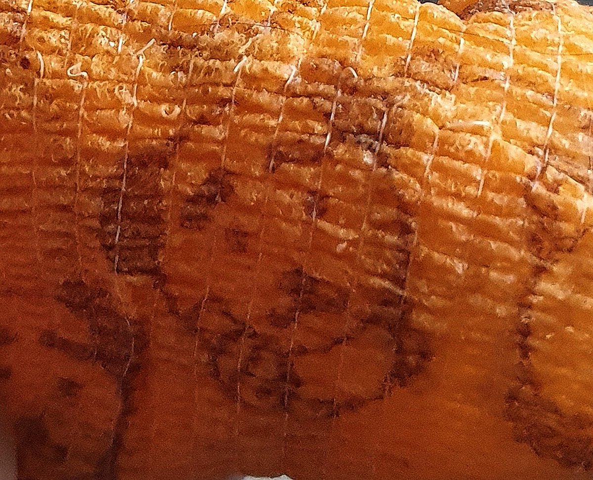 I've been a bit wobbly today. Had to go to the V. E. T.  😾 And a tooth was removed. And they gave me a bandage with a dogs face on it. 😾 So I don't care if your legs are getting numb mum, I'm not going anywhere. More pets and treats, please. 🐾
#CatsOfTwitter #cats