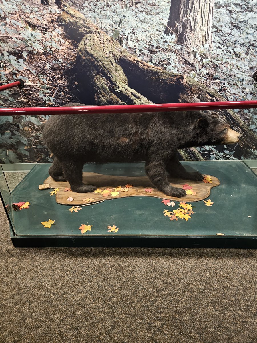 Seth Moldenhauer tweet media