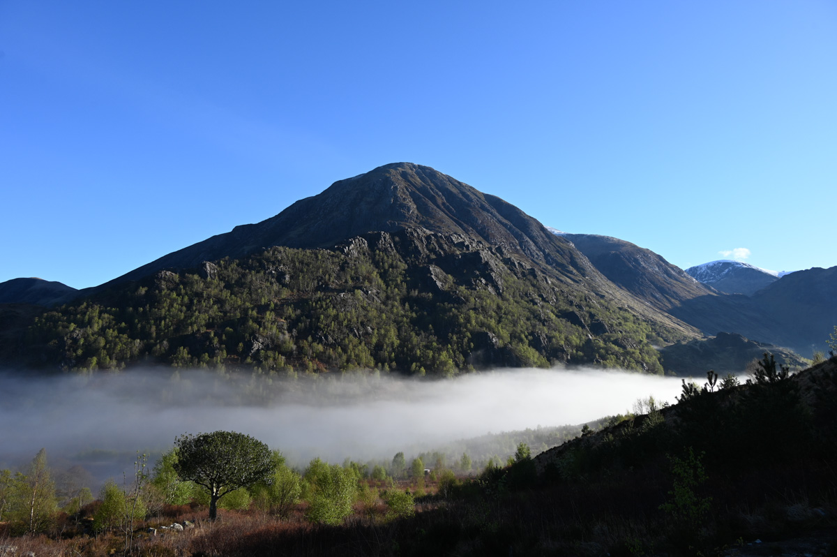 Spurtle284's tweet image. Sgurr a Mhaim stalkers path exploratory. 18th April 2025
kinleyhazel.wordpress.com/2025/04/18/sgu…