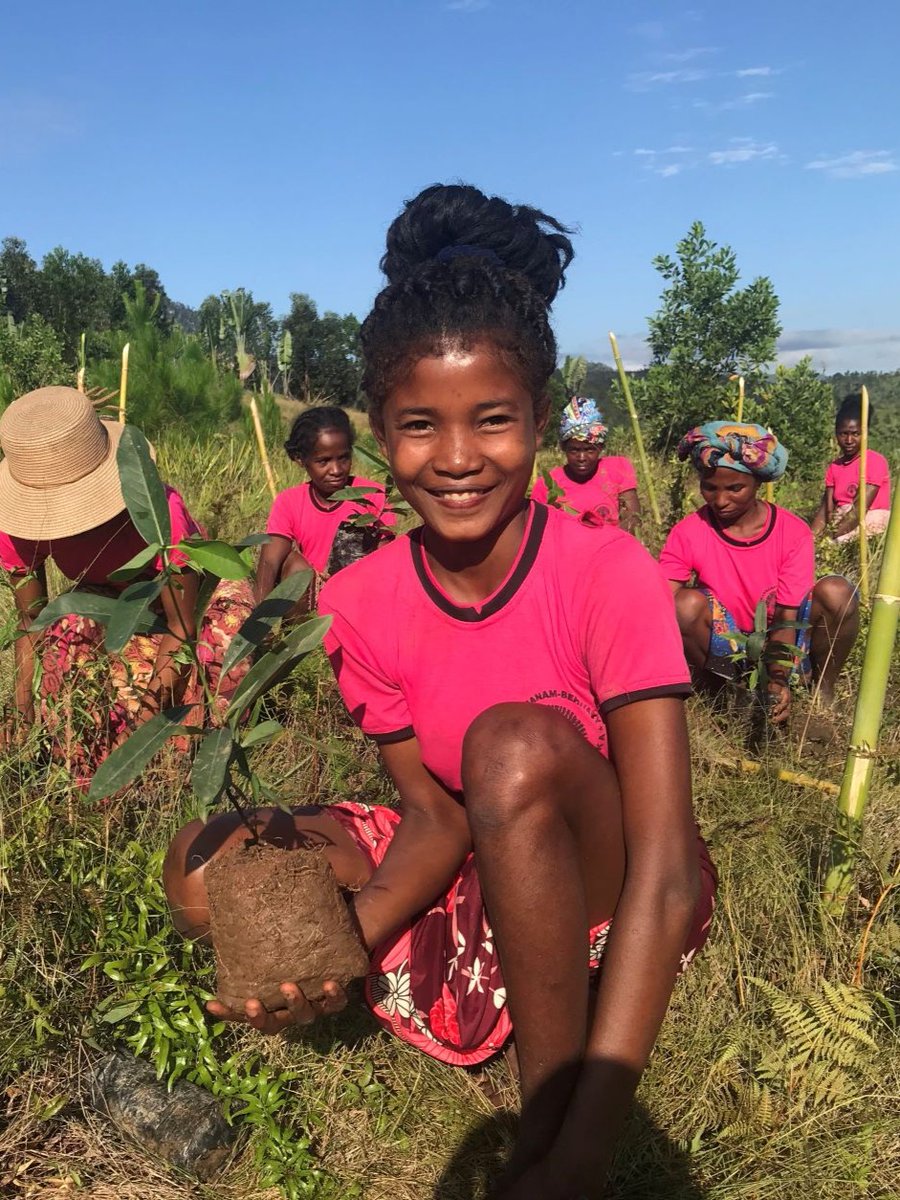 When you invest in trees, your support spans the globe, touching people and places who need it most.

Thank you for believing in a world where everyone has access to the incredible benefits trees have to offer.

📍 Madagascar Rainforest Rescue
