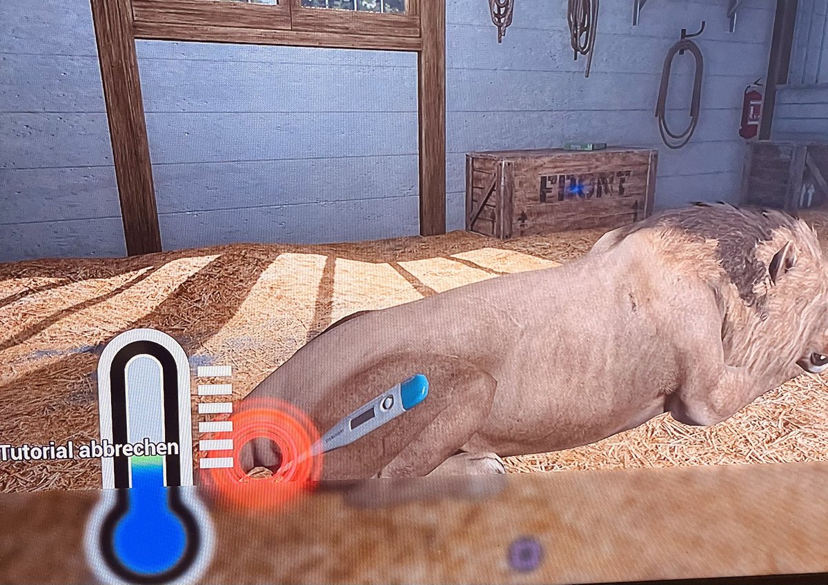 Spiele mit Kind3 „Tierarztpraxis“ und muss sagen, dass ich bei Call of Duty weniger Angst hatte.