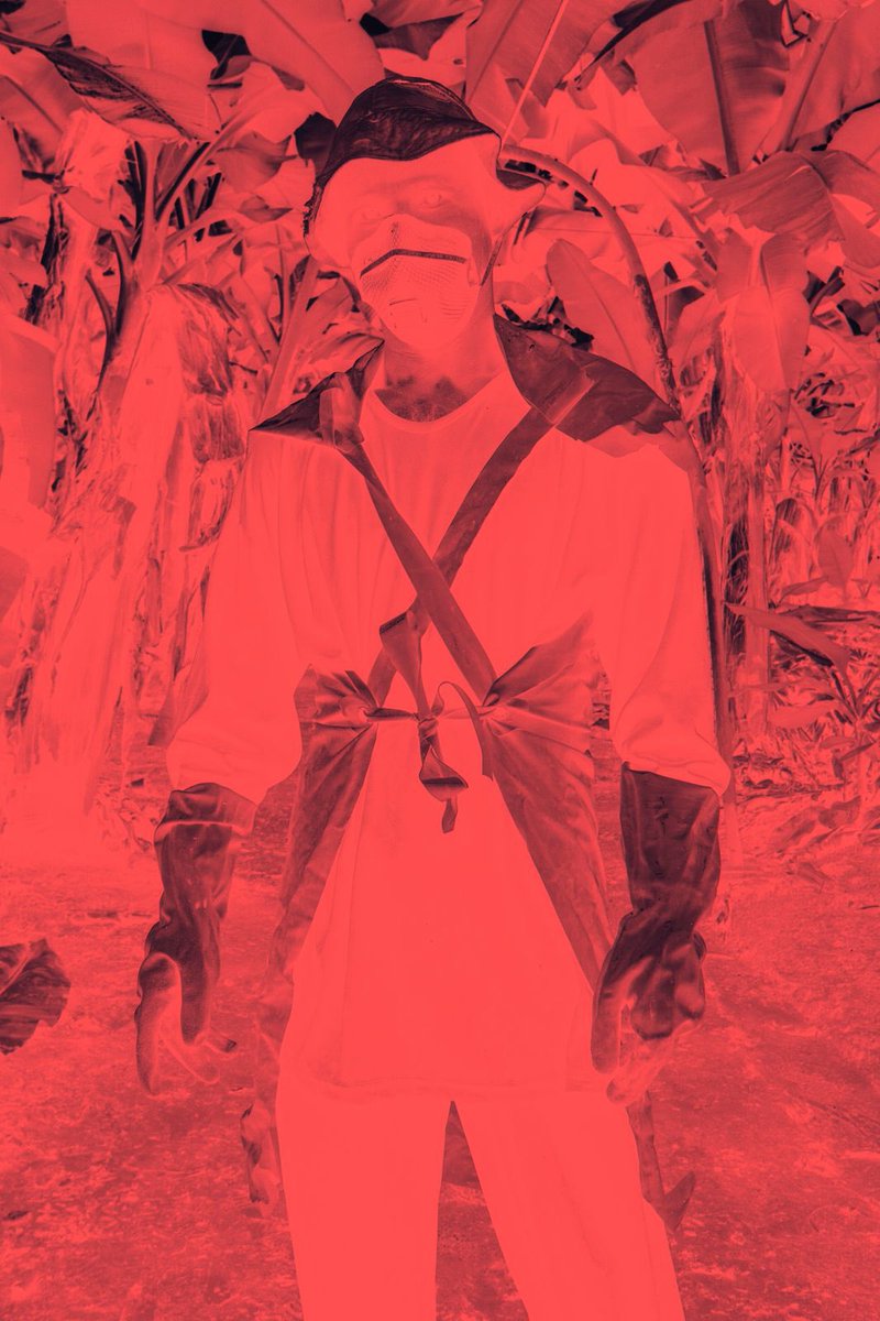 Central American Studies Working Group tweet media