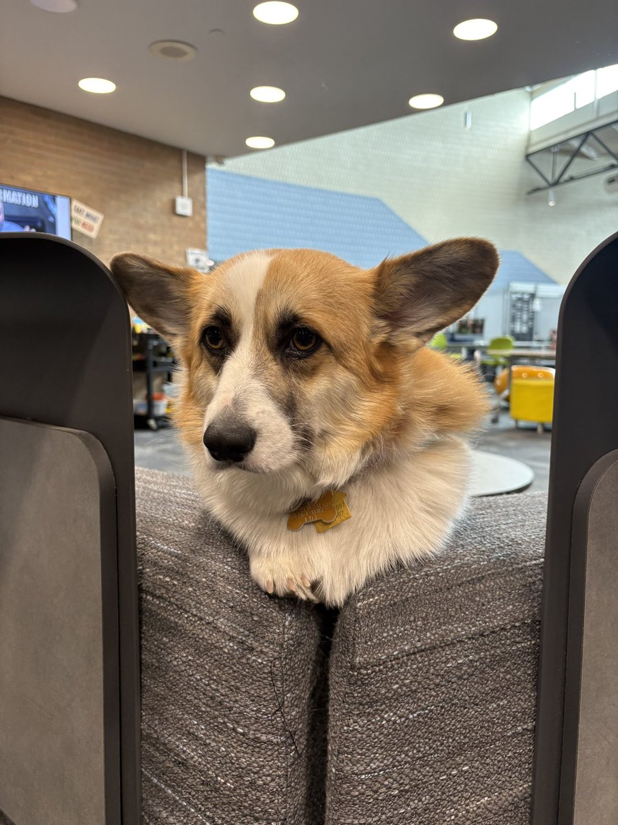 School Librarians United (@lms_united) on Twitter photo Ellie the #library dog hosted class visits in celebration of UMatter Week!!! Inspired by #librarian <a href="/DianaHaneski/">Diana Haneski</a> in this #episode apple.co/3SJpVxJ Ellie the #library dog hosted class visits in celebration of UMatter Week!!! Inspired by #librarian <a href="/DianaHaneski/">Diana Haneski</a> in this #episode apple.co/3SJpVxJ