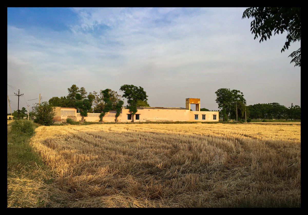 Dhann Sadi Paili Jedi Sona Jammdi Socheya Main Vairiyan De Baagh Dekh’ke..
#Punjab #Harvest