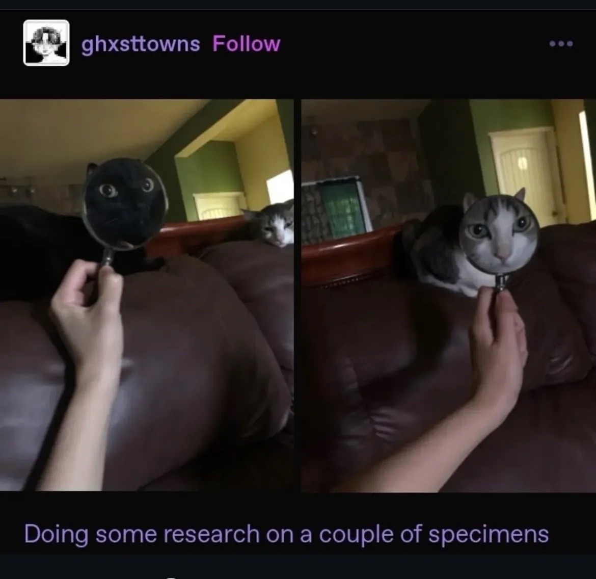 Respectful Memes tweet media