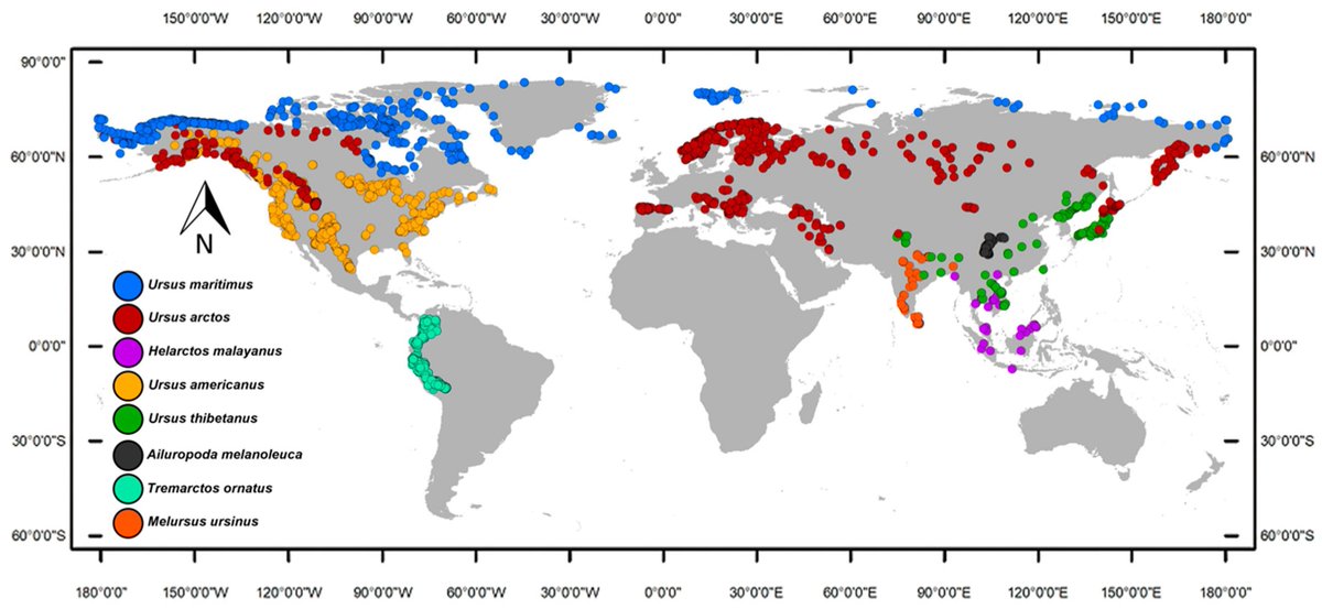 #NewArticle Bears into the Niche-Space: Phylogeography and Phyloclimatic Model of the Family Ursidae 🔗 doi.org/10.3390/d16040… #Bears #NicheRover #Ursidae #PhyloclimateSpace