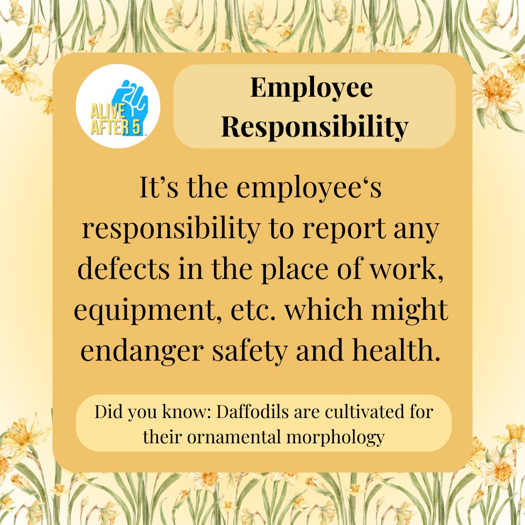 Employee Responsibility! (2/2)

It's the employee's responsibility to report any defects that might endanger safety and health at work!

#workersrights #worksafebc #unions #union #flowers #funfacts #facts #april #alivefter5 #aa5 #ep #esb #esa #daffodils #floral #aprilshowers